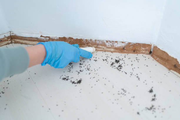 Best Pest Exclusion Services  in USA